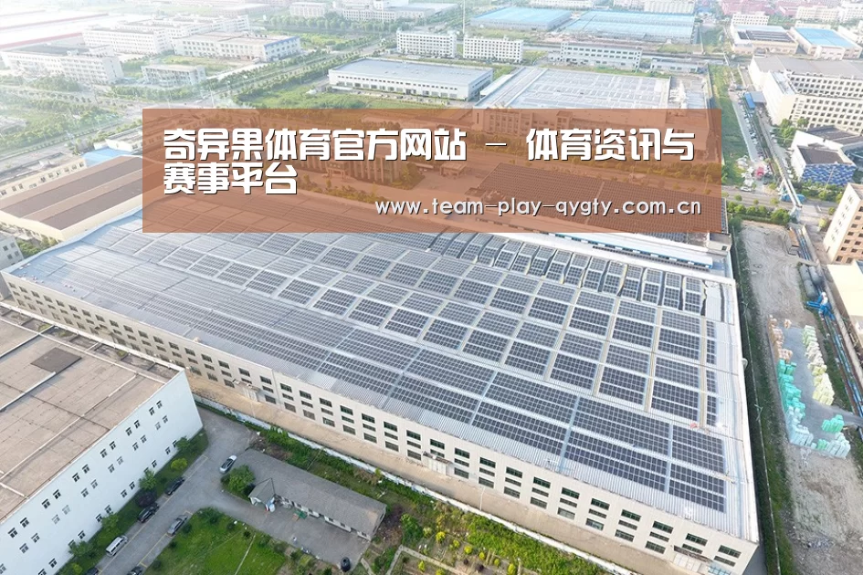 案例展示一