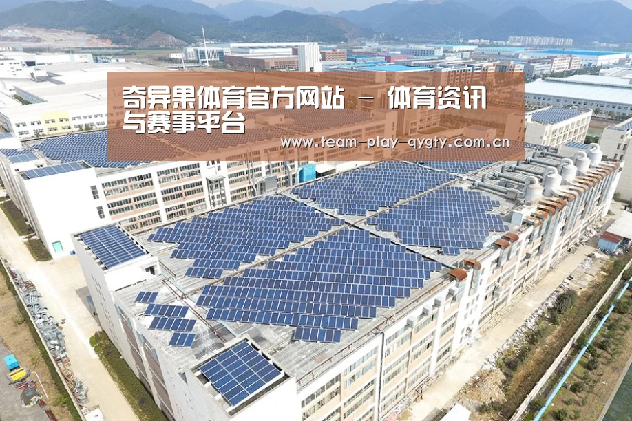 案例展示一