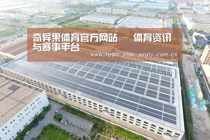 案例展示二