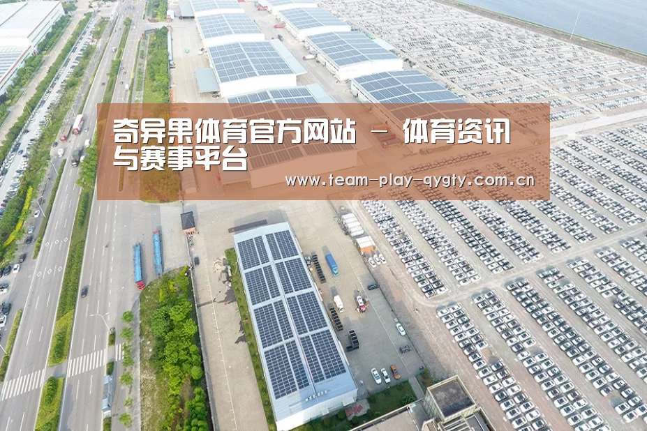 案例展示二
