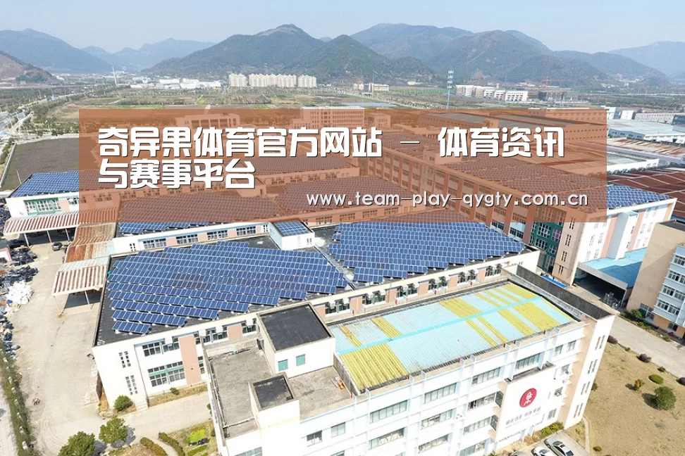 案例展示三