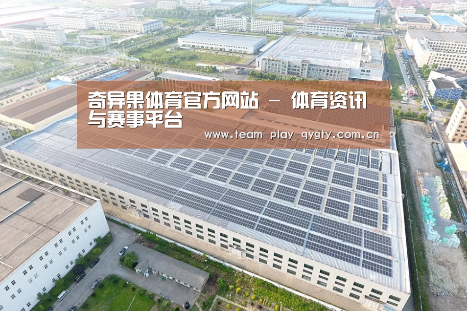 案例展示四